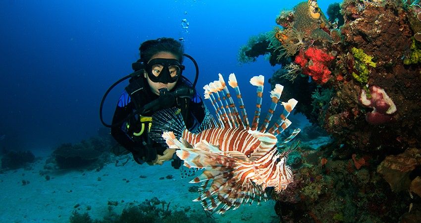 Andaman Island Scuba Diving Adventure