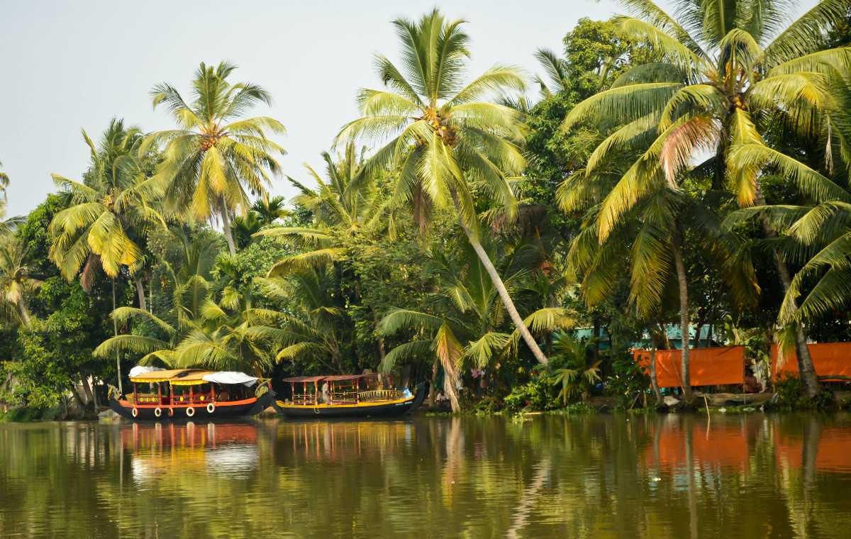 Kozhikode Backwaters