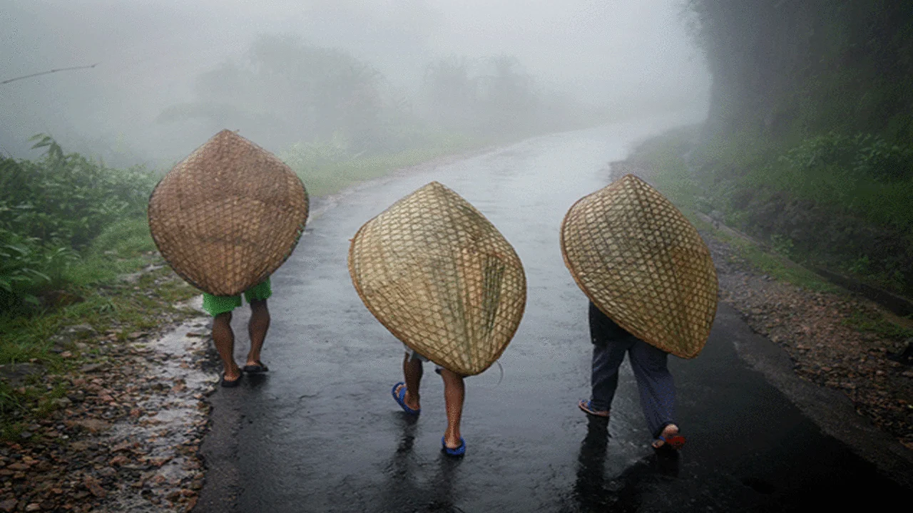 A Journey into the Wettest Place on Earth